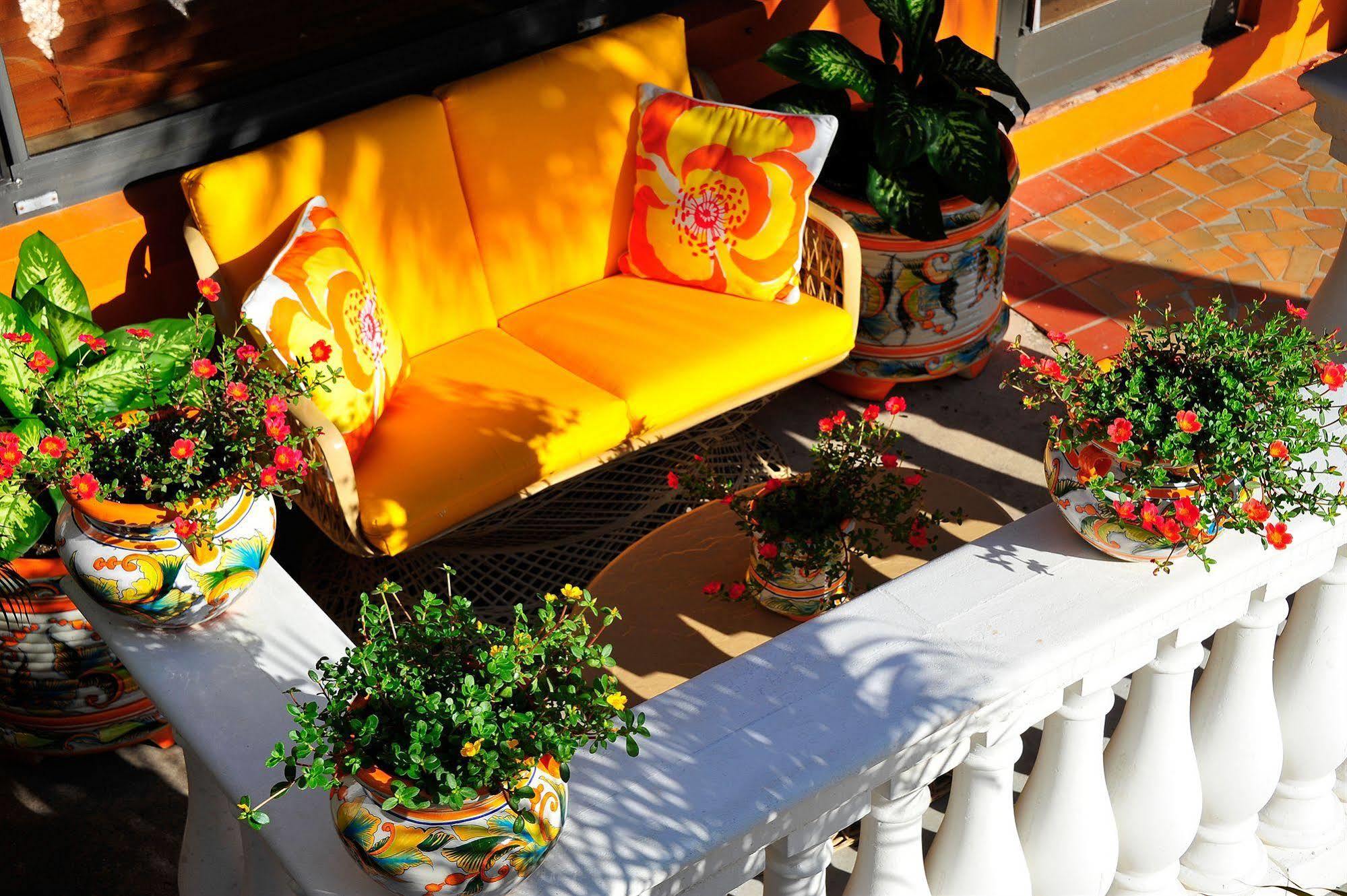 Blue Seas Courtyard Otel Lauderdale-by-the-Sea Dış mekan fotoğraf