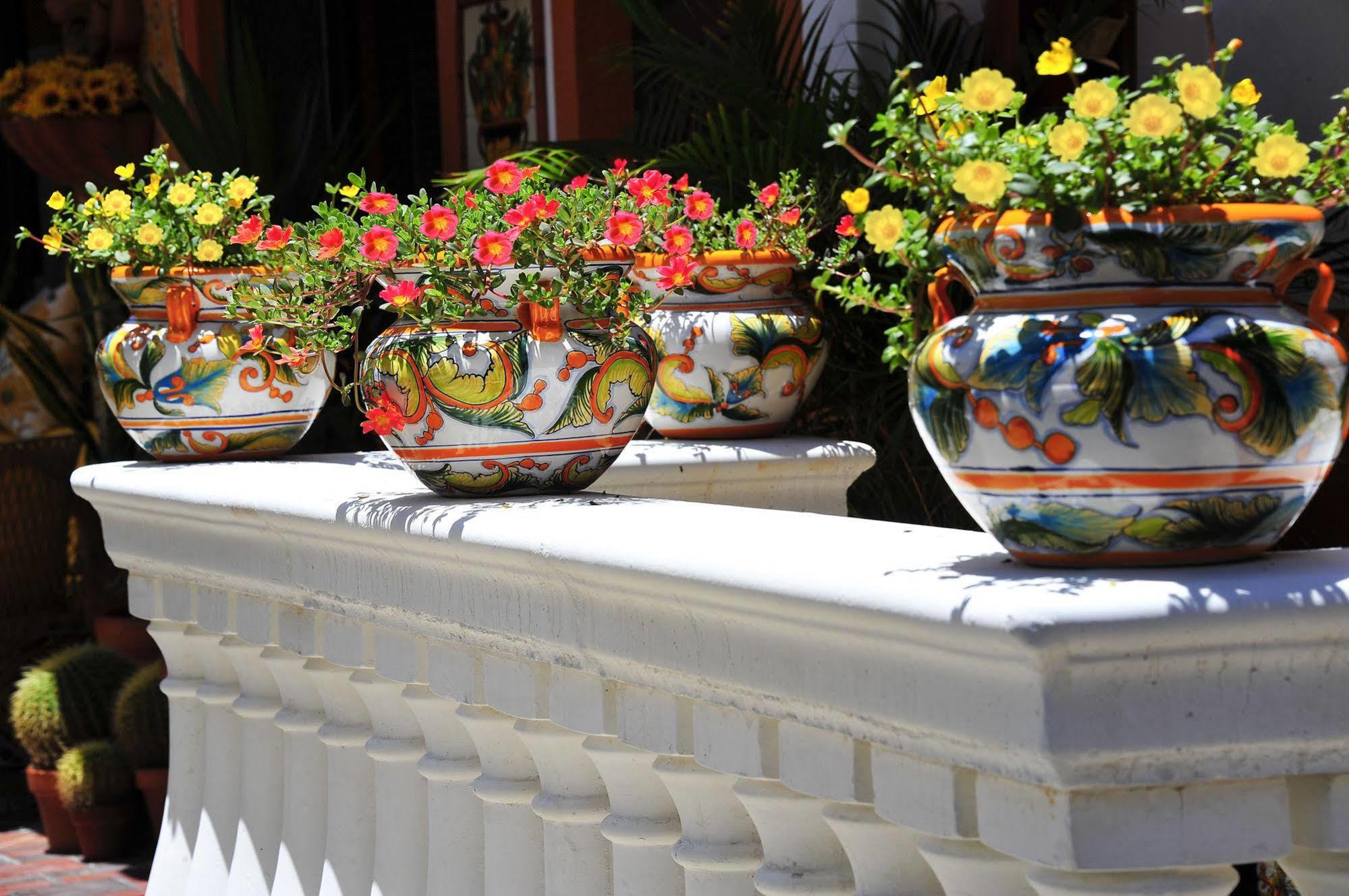 Blue Seas Courtyard Otel Lauderdale-by-the-Sea Dış mekan fotoğraf